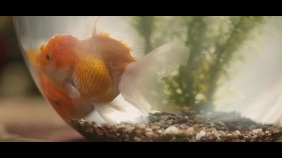 羅憶詩 Yise Loo - 寶貝心肝 My Dearest Beloved